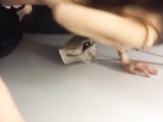 经典优衣库